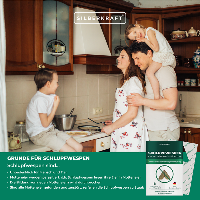 Guêpes mouches mouches contre les mites alimentaires