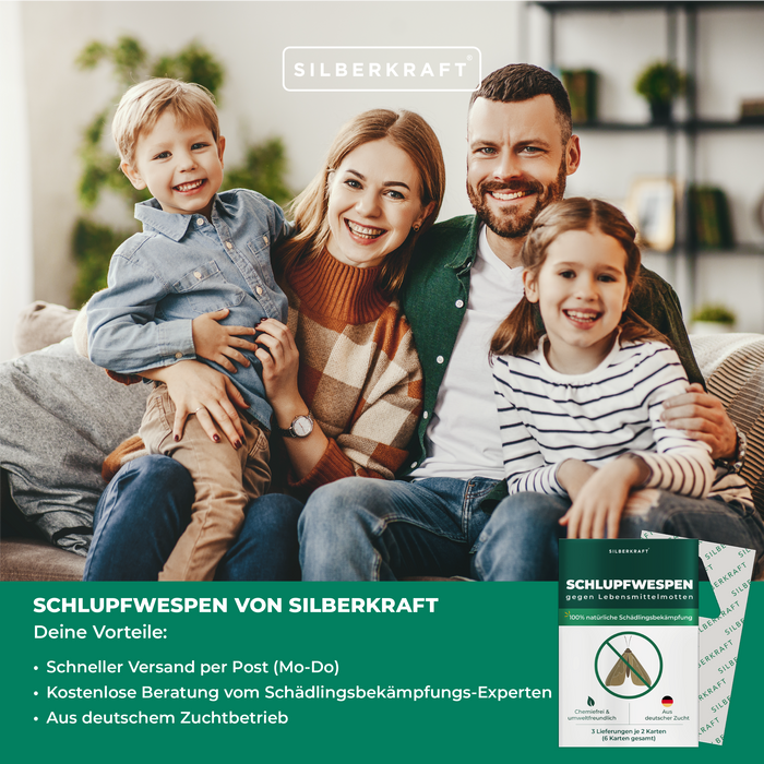 Guêpes mouches mouches contre les mites alimentaires