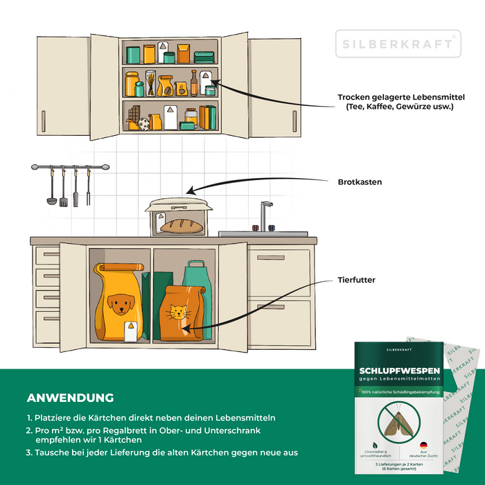 Guêpes mouches mouches contre les mites alimentaires