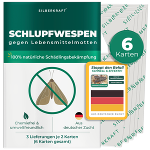 Schlupfwespen gegen Lebensmittelmotten - Silberkraft