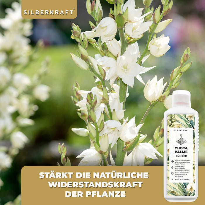 Engrais pour Yucca - Engrais liquide minéral NPK avec azote - Engrais pour palmiers Yucca - Fertilisation des lis de palmier - Engrais pour Yucca Rostrata