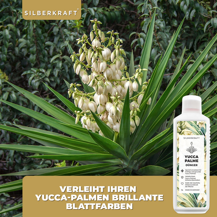 Engrais pour Yucca - Engrais liquide minéral NPK avec azote - Engrais pour palmiers Yucca - Fertilisation des lis de palmier - Engrais pour Yucca Rostrata
