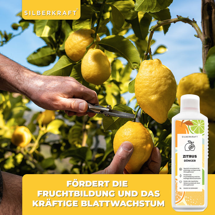 Engrais pour agrumes - Engrais liquide minéral NPK avec azote - Engrais pour agrumes - Fertilisation des citronniers