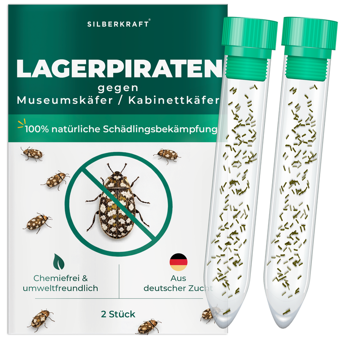 Silberkraft Lagerpiranten contre les coléoptères des musées et les coléoptères des armoires - insectes bénéfiques naturels pour lutter sans produits chimiques contre les coléoptères des musées dans la maison, issus de l'élevage allemand, 2 x 30 Lagerpiranten par tube