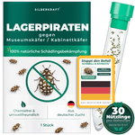 Pirates de stockage Silberkraft contre les coléoptères des musées et les coléoptères des armoires - insectes bénéfiques naturels pour lutter sans produits chimiques contre les coléoptères des musées dans la maison, issus de l'élevage allemand, 30 pirates de stockage par tube