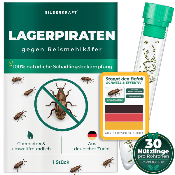 Silberkraft Lager Pirates contre les coléoptères de la farine de riz, insectes bénéfiques naturels pour lutter sans produits chimiques contre les coléoptères de la farine dans la maison, issu de l'élevage allemand, 30 lager pirates par tube