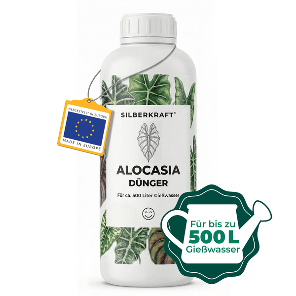 Engrais Alocasia - Silberkraft