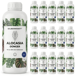 Engrais Alocasia - Silberkraft