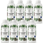 Engrais Alocasia - Silberkraft