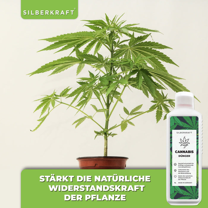 Engrais pour cannabis - Engrais liquide minéral NPK avec azote - Engrais pour plantes de cannabis - Engrais pour chanvre