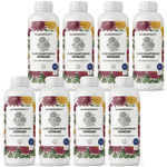 Engrais pour chrysanthème - Silberkraft