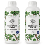 Engrais pour arbre à argent - Silberkraft