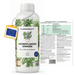 Engrais pour plantes vertes - Silberkraft