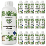 Engrais pour plantes vertes - Silberkraft