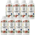 Engrais Kalanchoe - Silberkraft