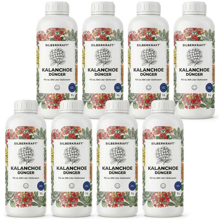 Engrais Kalanchoe - Silberkraft