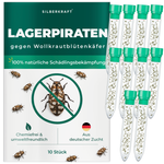 Silberkraft Lager Pirates contre les mauvaises herbes laineuses - insectes bénéfiques naturels pour lutter contre les mauvaises herbes laineuses dans la maison, sans produits chimiques, issu de l'élevage allemand, 10 x 30 bières blondes par tube