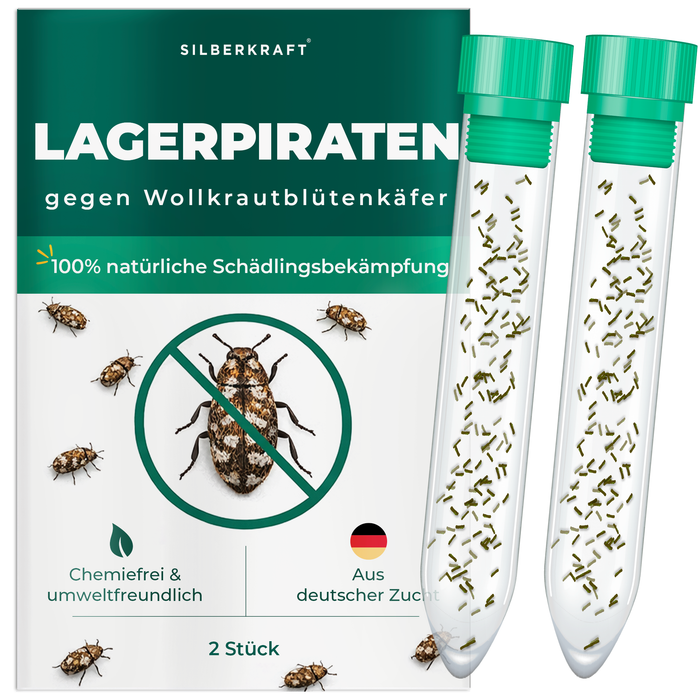 Silberkraft Lager Pirates contre les mauvaises herbes laineuses - Insectes naturels bénéfiques pour lutter contre les mauvaises herbes laineuses dans la maison, sans produits chimiques, issus de l'élevage allemand, 2x 30 bières blondes par tube