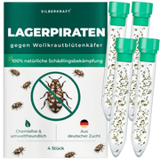 Silberkraft Lagerpiraten gegen Wollkrautblütenkäfer – natürliche Nützlinge zur Bekämpfung von Wollkrautblütenkäfern im Haushalt, chemiefrei, aus deutscher Zucht, 4 x 30 Lagerpiraten pro Röhrchen