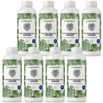 Engrais Monstera Deliciosa - Silberkraft