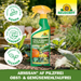 Neudorff Armisan AF Fruits et légumes sans champignons et sans moisissure - Silberkraft