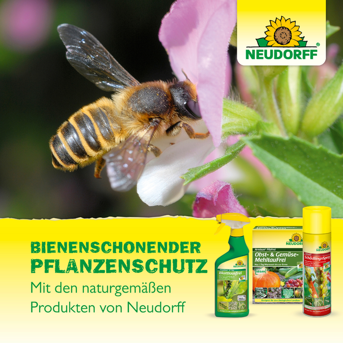 Neudorff Armisan AF Fruits et légumes sans champignons et sans moisissure - Silberkraft