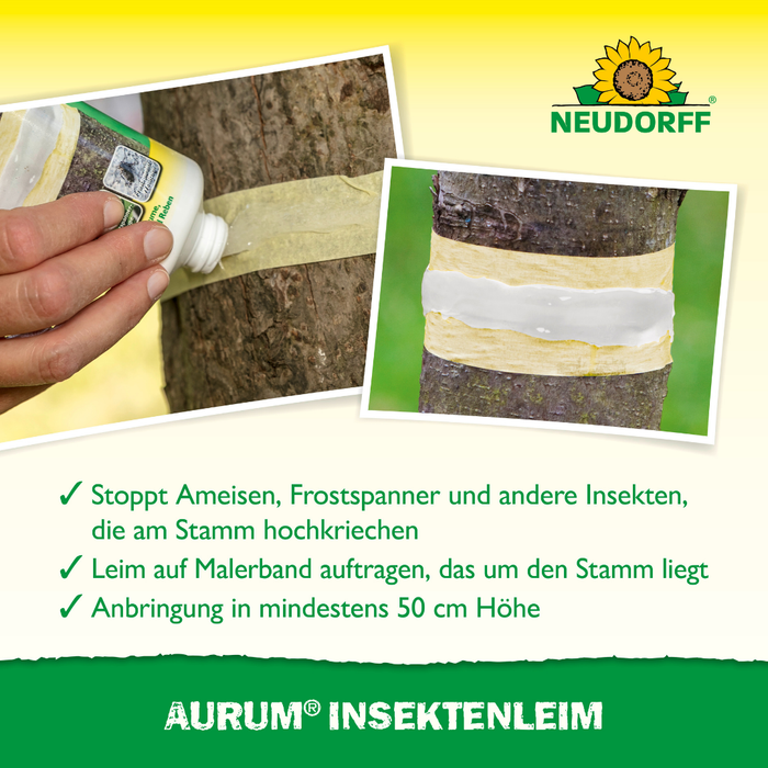 Colle anti-insectes Neudorff Aurum - Silberkraft