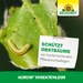 Colle anti-insectes Neudorff Aurum - Silberkraft