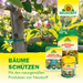 Colle anti-insectes Neudorff Aurum - Silberkraft