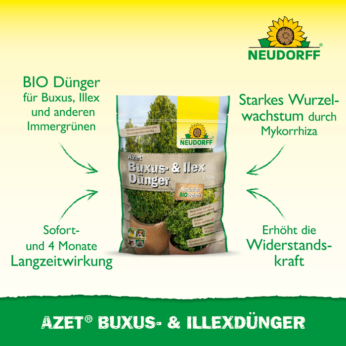 Neudorff Azet Buxus- & Ilex Dünger Groß - Silberkraft
