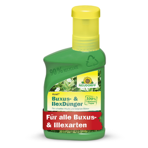 Neudorff Azet Buxus- & Ilex Dünger - Silberkraft