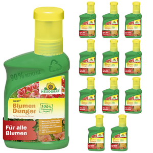 Neudorff Azet Buxus- & Ilex Dünger - Silberkraft