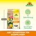 Neudorff Azet bâtons d'engrais pour plantes à fleurs - Silberkraft