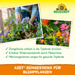 Neudorff Azet bâtons d'engrais pour plantes à fleurs - Silberkraft
