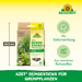 Neudorff Azet bâtons d'engrais pour plantes vertes - Silberkraft