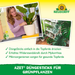 Neudorff Azet bâtons d'engrais pour plantes vertes - Silberkraft