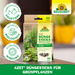 Neudorff Azet bâtons d'engrais pour plantes vertes - Silberkraft