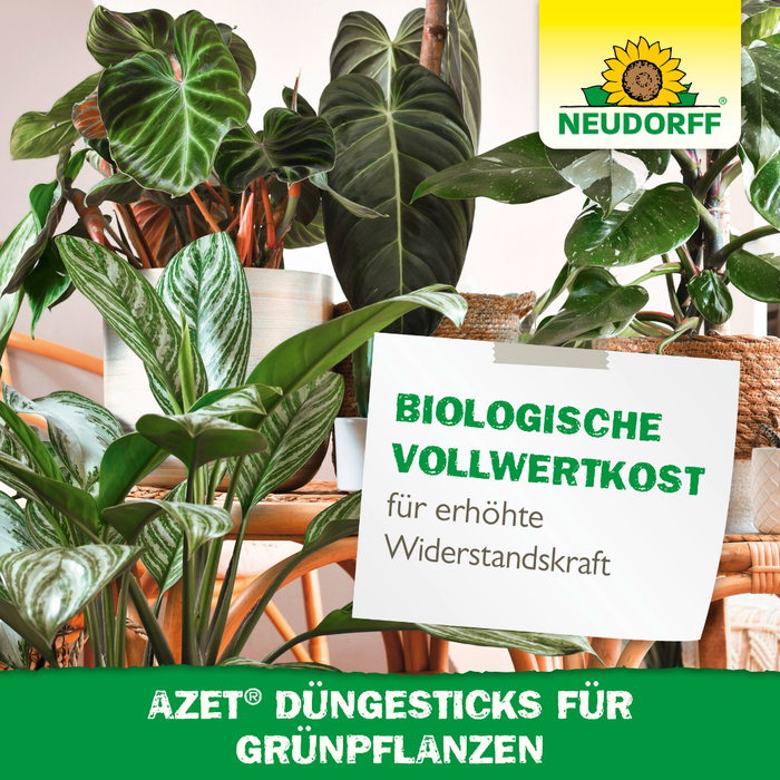 Neudorff Azet bâtons d'engrais pour plantes vertes - Silberkraft