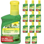 Engrais pour plantes vertes Neudorff Azet - Silberkraft