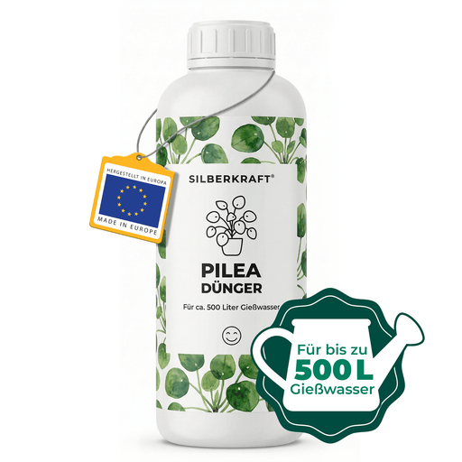 Engrais Pilea - Silberkraft