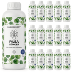 Engrais Pilea - Silberkraft