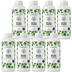 Engrais Pilea - Silberkraft