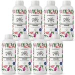 Engrais pour cactus de Noël - Silberkraft