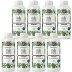Engrais pour plantes d'intérieur - Silberkraft