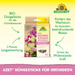 Neudorff Azet bâtons d'engrais pour orchidées - Silberkraft
