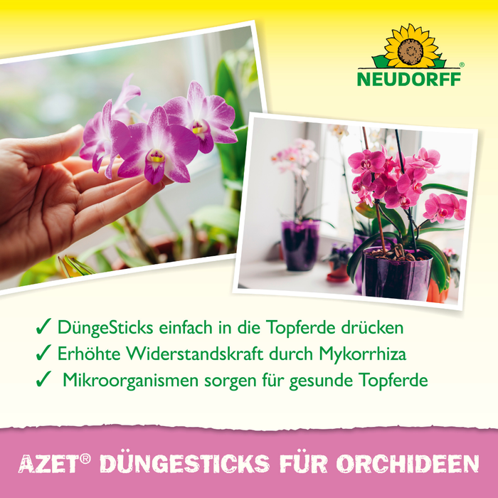 Neudorff Azet bâtons d'engrais pour orchidées - Silberkraft