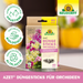 Neudorff Azet bâtons d'engrais pour orchidées - Silberkraft