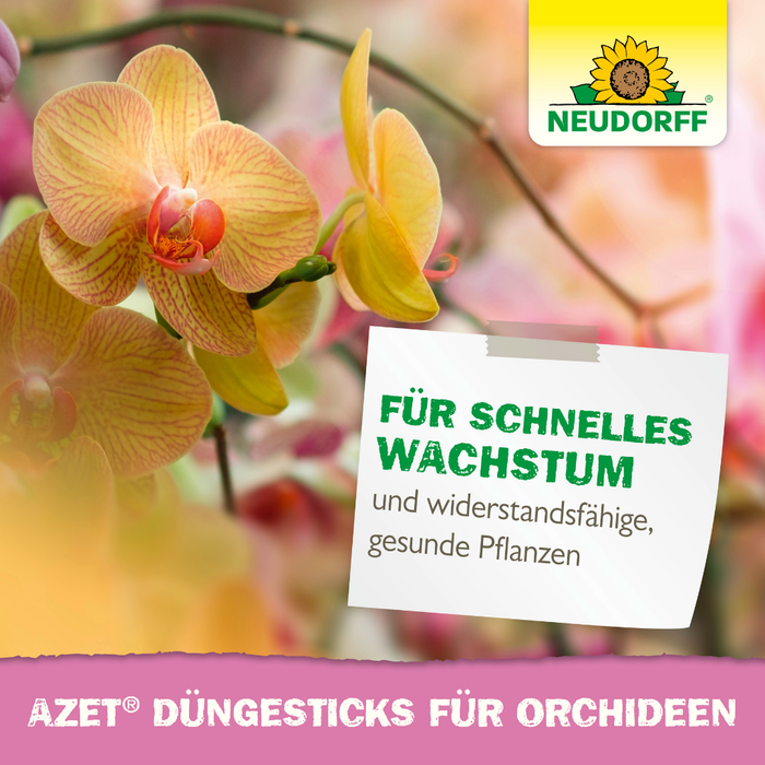 Neudorff Azet bâtons d'engrais pour orchidées - Silberkraft