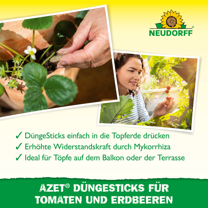 Neudorff Azet bâtons d'engrais pour tomates et fraises - Silberkraft