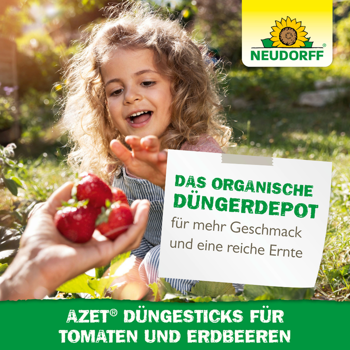Neudorff Azet bâtons d'engrais pour tomates et fraises - Silberkraft